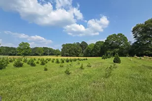 2037 Jeff Davis Rd, Thomaston, GA 30286 - Photo 34