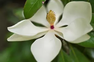 2037 Jeff Davis Rd, Thomaston, GA 30286 - Photo 50