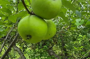 2037 Jeff Davis Rd, Thomaston, GA 30286 - Photo 46