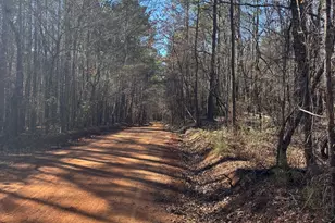 0 Carl Mathis Rd, Talbotton, GA 31827 - Photo 1