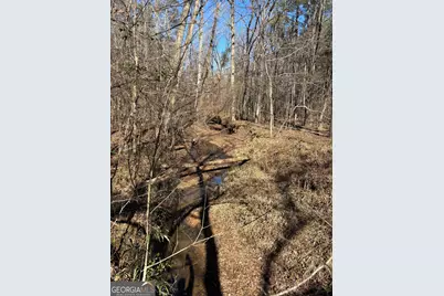 0 Carl Mathis Road, Talbotton, GA 31827 - Photo 4