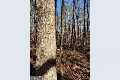 0 Carl Mathis Road, Talbotton, GA 31827 - Photo 8