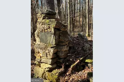 0 Carl Mathis Road, Talbotton, GA 31827 - Photo 6