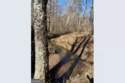 0 Carl Mathis Road, Talbotton, GA 31827 - Photo 2
