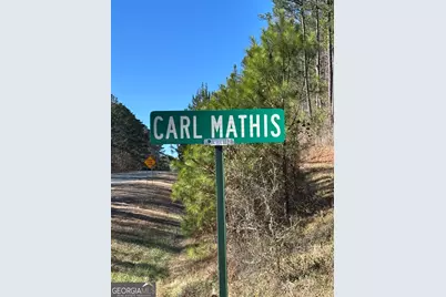 0 Carl Mathis Road, Talbotton, GA 31827 - Photo 10