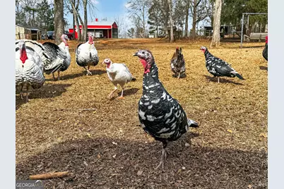 762 High Falls Park Road, Barnesville, GA 30204 - Photo 50