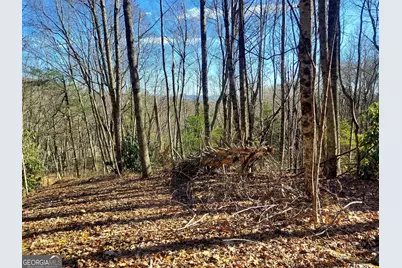 0 Lot 14 &amp; 15 Honey Bear, Dillard, GA 30537 - Photo 2