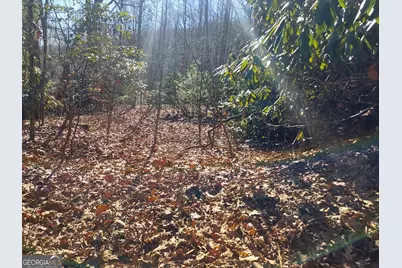0 Lot 14 &amp; 15 Honey Bear, Dillard, GA 30537 - Photo 8