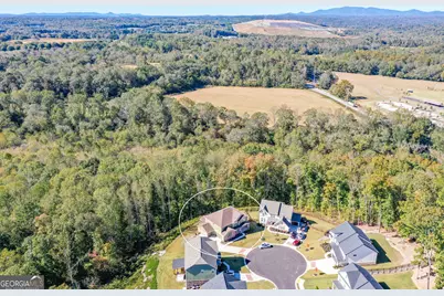 8555 Scenic Ridge Way, Ball Ground, GA 30107 - Photo 80