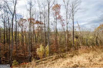 8555 Scenic Ridge Way, Ball Ground, GA 30107 - Photo 64