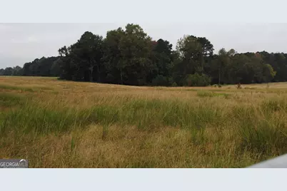 19.6 Acres Grant Road, Fayetteville, GA 30215 - Photo 16