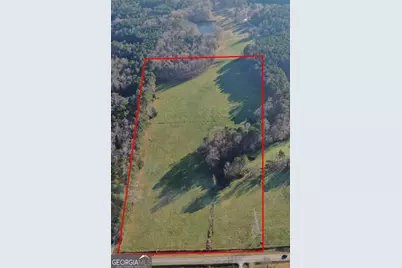 19.6 Acres Grant Road, Fayetteville, GA 30215 - Photo 8