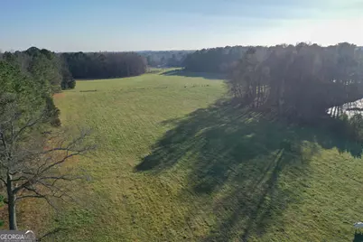 19.6 Acres Grant Road, Fayetteville, GA 30215 - Photo 6