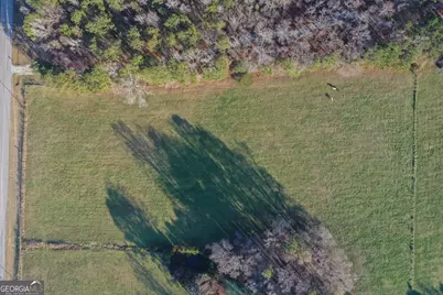 19.6 Acres Grant Road, Fayetteville, GA 30215 - Photo 2