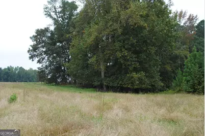 19.6 Acres Grant Road, Fayetteville, GA 30215 - Photo 12