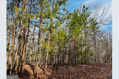 Lot 6 Planters Pointe Drive, Baldwin, GA 30511 - Photo 2