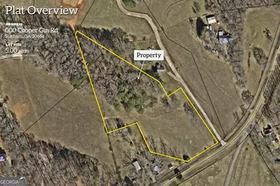 0 Treadwell Bridge Road, Statham, GA 30666 - Photo 10