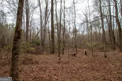 0 Hwy 315, Waverly Hall, GA 31831 - Photo 12