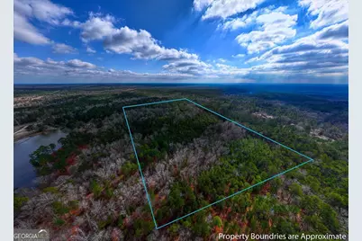 0 Hwy 315, Waverly Hall, GA 31831 - Photo 1