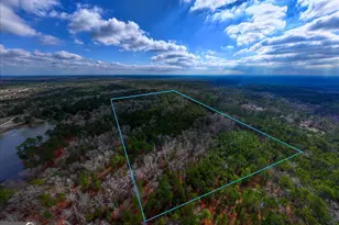 0 Hwy 315, Waverly Hall, GA 31831 - Photo 1