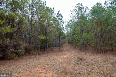 0 Hwy 315, Waverly Hall, GA 31831 - Photo 8
