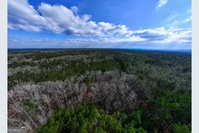 0 Hwy 315, Waverly Hall, GA 31831 - Photo 2