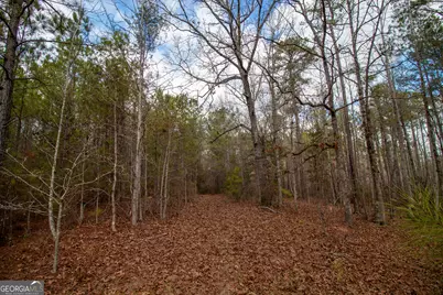 0 Hwy 315, Waverly Hall, GA 31831 - Photo 10