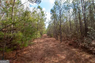 0 Hwy 315, Waverly Hall, GA 31831 - Photo 4