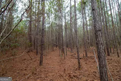 0 Hwy 315, Waverly Hall, GA 31831 - Photo 6