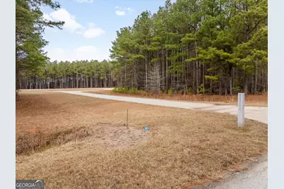 0 Magnolia Court, Tignall, GA 30668 - Photo 4