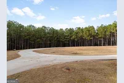 0 Magnolia Court, Tignall, GA 30668 - Photo 6