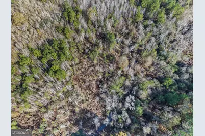 0 Big Pond Lane, Thomasville, GA 31757 - Photo 12