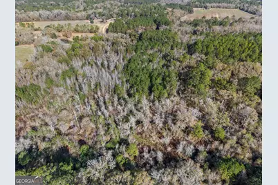 0 Big Pond Lane, Thomasville, GA 31757 - Photo 10