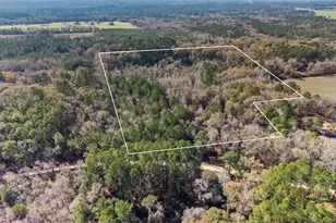 0 Big Pond Ln, Thomasville, GA 31757 - Photo 1