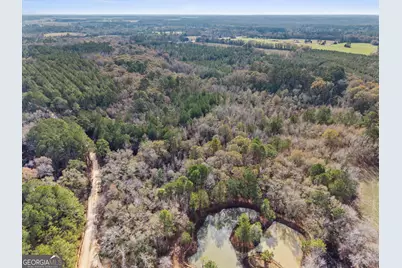0 Big Pond Lane, Thomasville, GA 31757 - Photo 4