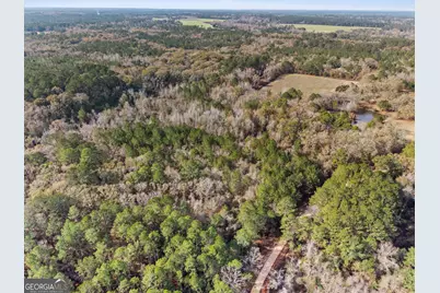 0 Big Pond Lane, Thomasville, GA 31757 - Photo 8