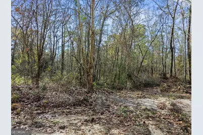 0 Big Pond Lane, Thomasville, GA 31757 - Photo 20