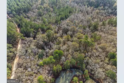 0 Big Pond Lane, Thomasville, GA 31757 - Photo 6