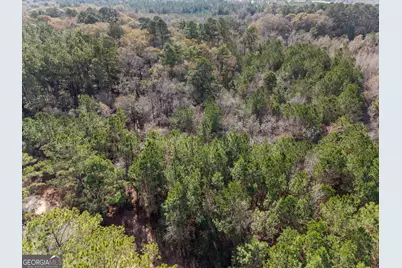 0 Big Pond Lane, Thomasville, GA 31757 - Photo 18