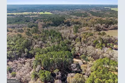 0 Big Pond Lane, Thomasville, GA 31757 - Photo 2