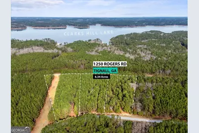 0 Rogers Road, Tignall, GA 30668 - Photo 1