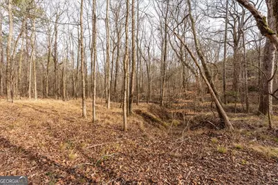 0 Winding Ridge Drive, Tignall, GA 30668 - Photo 8