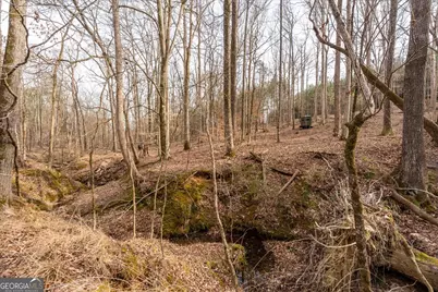 0 Winding Ridge Drive, Tignall, GA 30668 - Photo 10