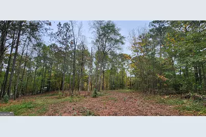 18 E Mourning Dove Ct, Monticello, GA 31064 - Photo 6