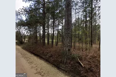 0 Nobles Road, Chester, GA 31012 - Photo 1