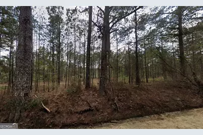 0 Nobles Road, Chester, GA 31012 - Photo 4