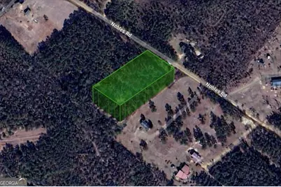 0 Nobles Road, Chester, GA 31012 - Photo 6