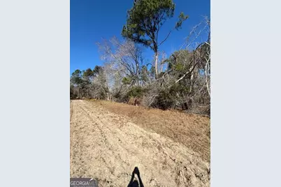 0 Starfish Lane, Lyons, GA 30436 - Photo 6