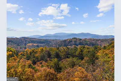 653 The Woods Road, Mineral Bluff, GA 30559 - Photo 2