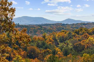 653 The Woods Rd, Mineral Bluff, GA 30559 - Photo 8